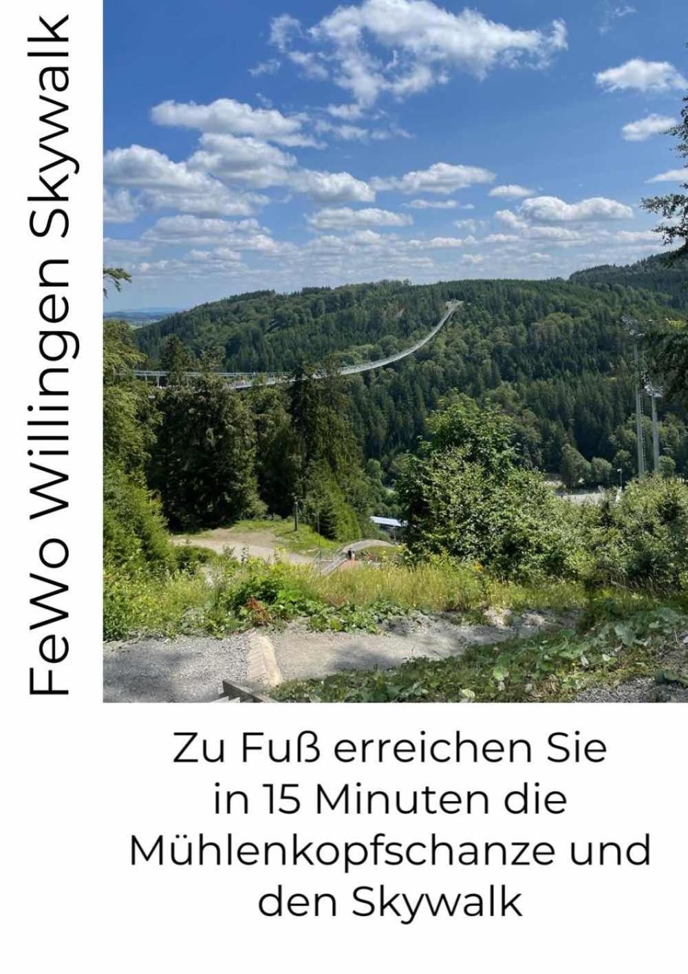 Fewo Skywalk Willingen Stryck 외부 사진