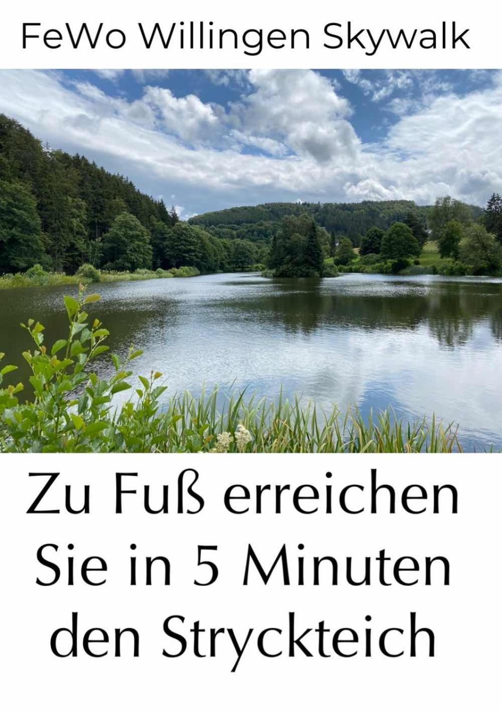 Fewo Skywalk Willingen Stryck 외부 사진